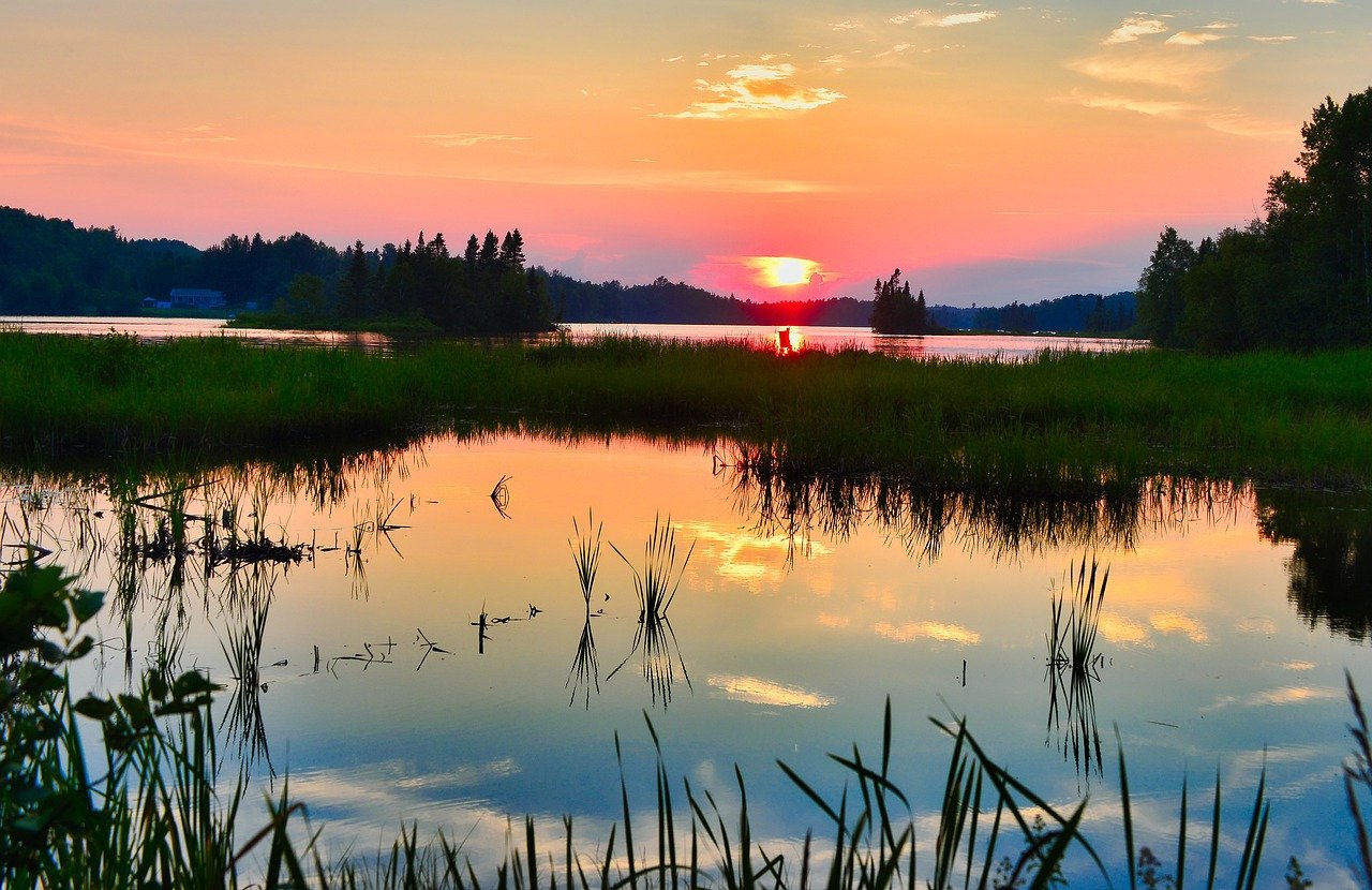 Climate Change: Affecting Nutrient Cycles in Ecosystems